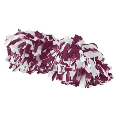 ACSD Spirit Pom Thumbnail