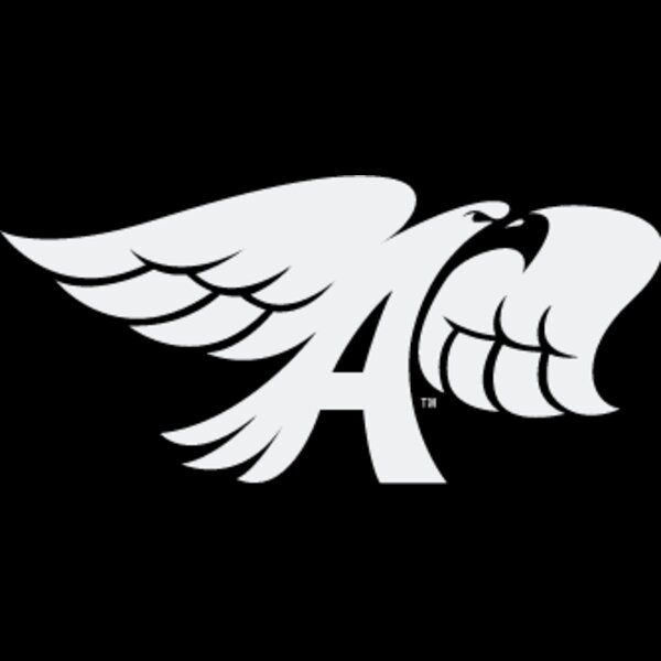 hawkshop vintage hawk white Thumbnail